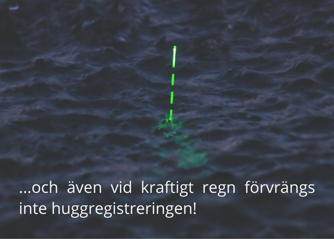 BiteHunter™ – LED-Flöte som Byter Färg vid Hugget